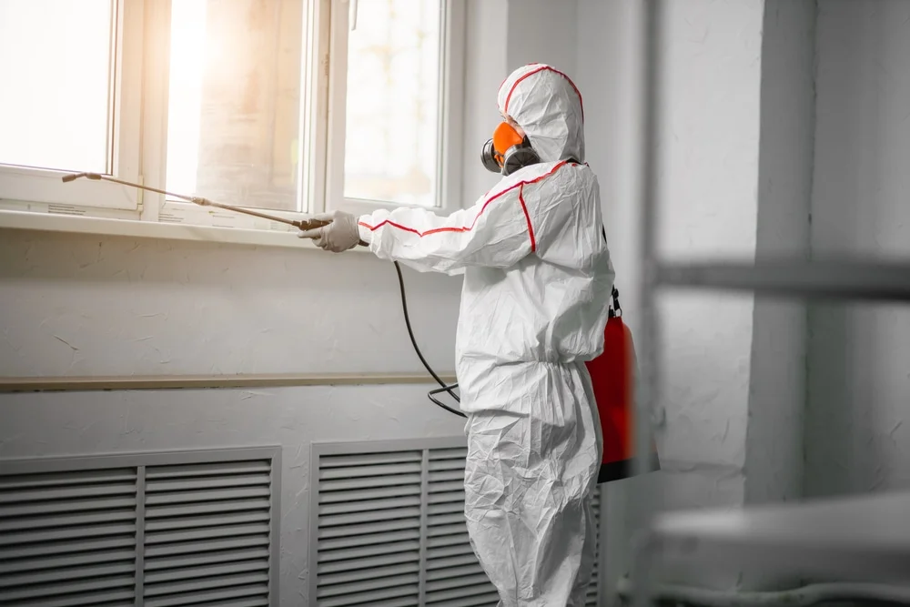 Professional mold remediation services in Euclid, OH